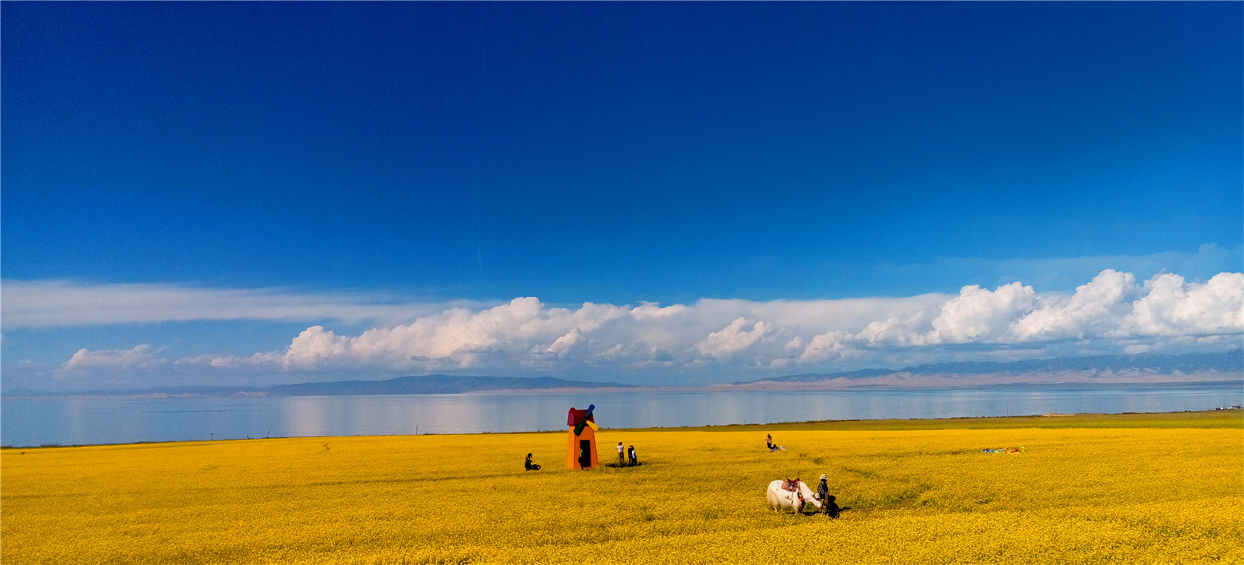 《大美青?！穭㈤?/>
                                    <div   id=