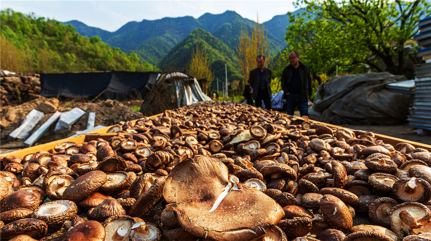 《結(jié)對幫扶，碩果累累》高波